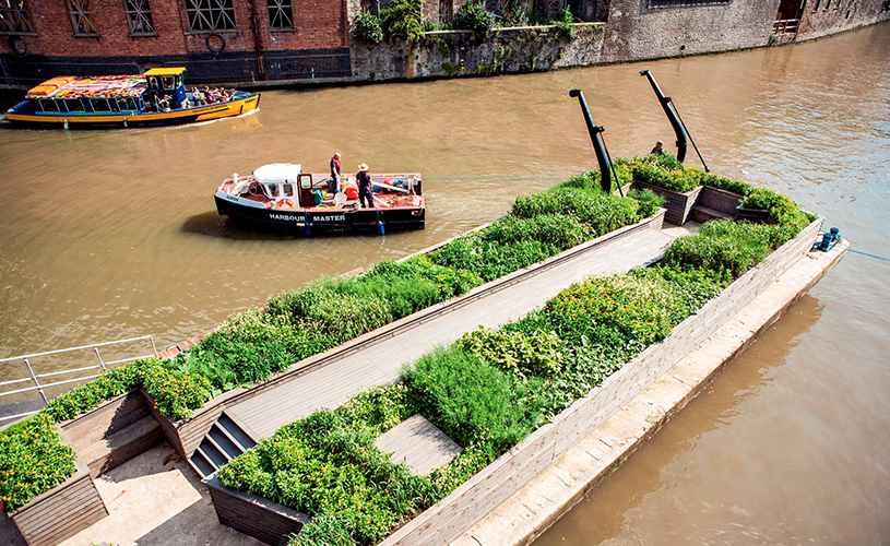 Floating seed garden - A-Z of Bristol
