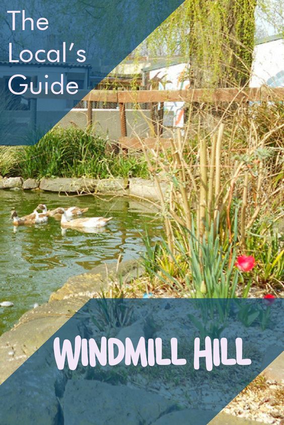 Windmill Hill guide