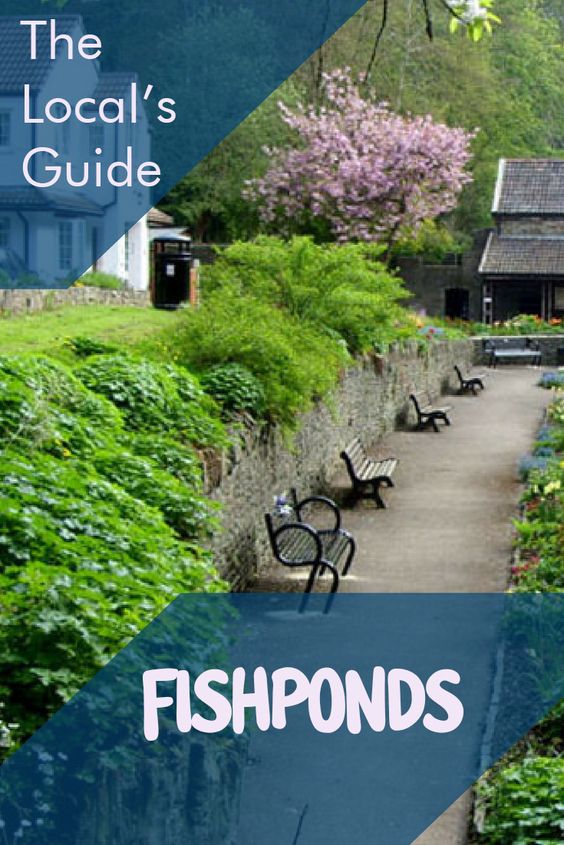 Fishponds guide