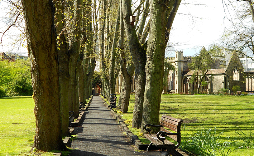 Tree-lined path beside Temple Church Bristol