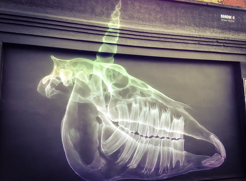 X-ray style unicorn street art as part of Upfest in Bristol 